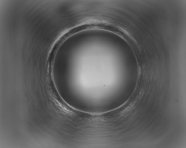 X0000053021021200507081320