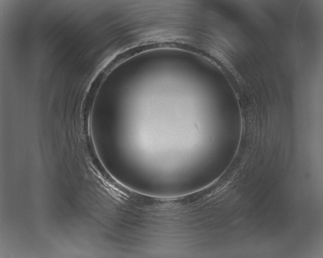 X0000053021023200507081320