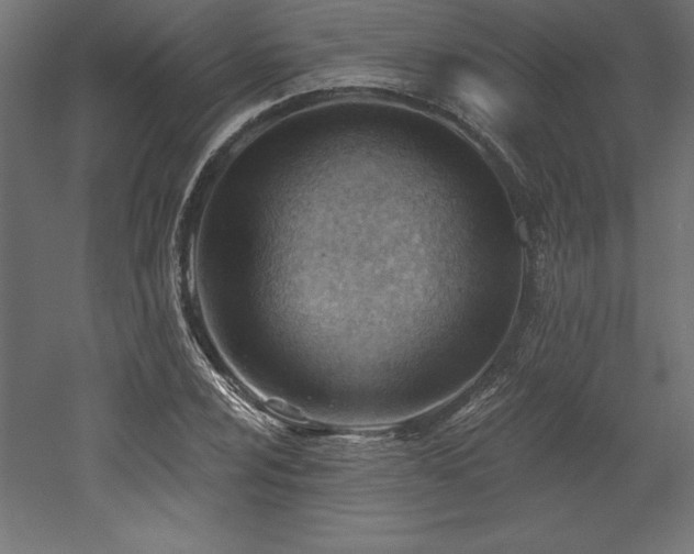 X0000053021024200507081320