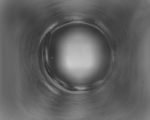 X0000053021026200507081320
