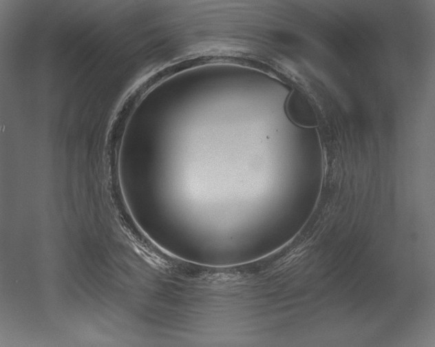 X0000053021027200507081320