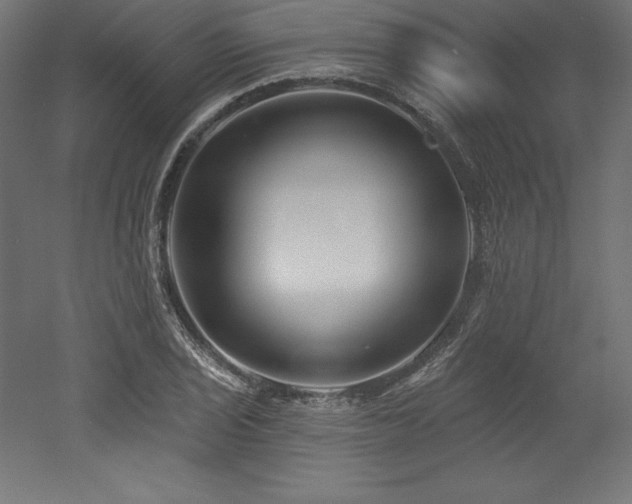 X0000053021029200507081320