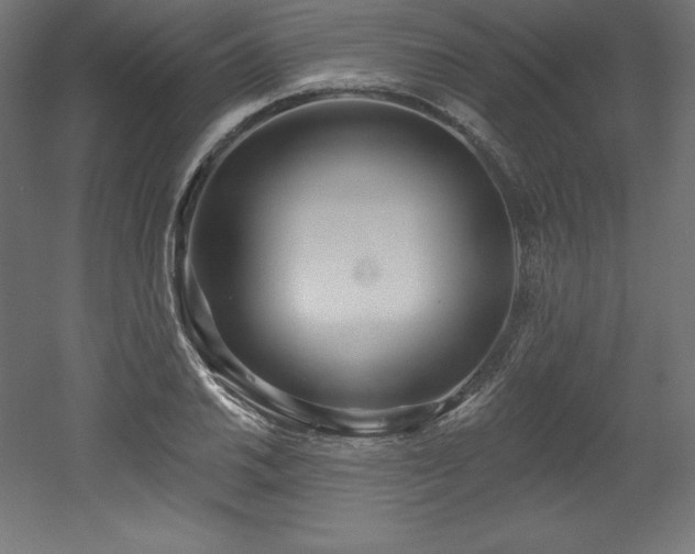 X0000053021030200507081320
