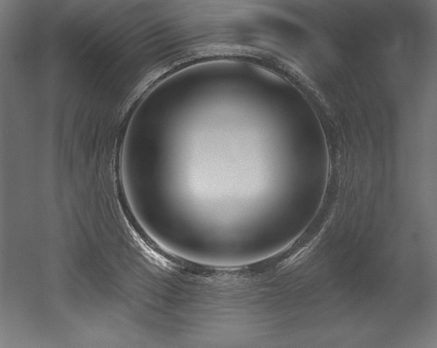 X0000053021033200507081320