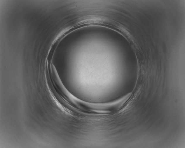 X0000053021034200507081320