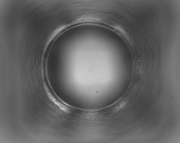 X0000053021038200507081320