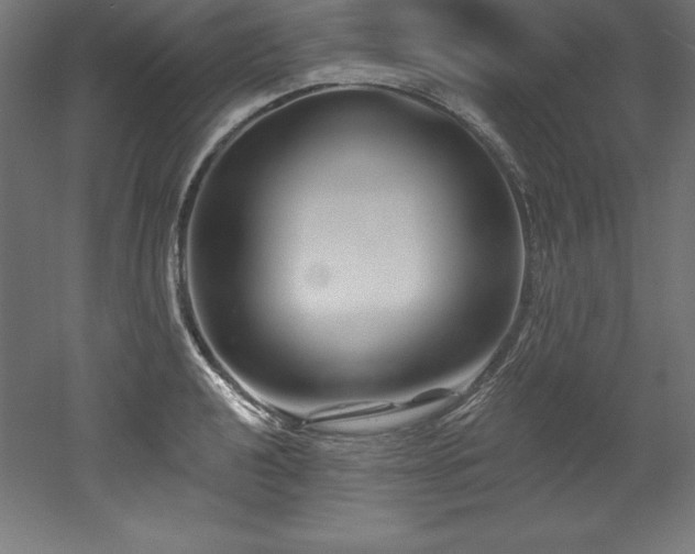 X0000053021040200507081321