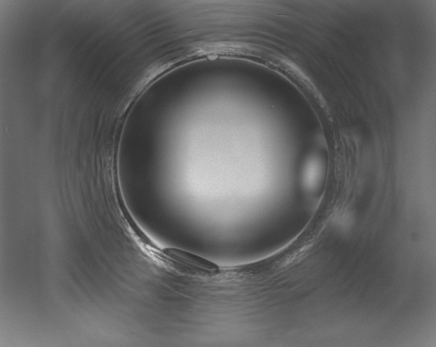 X0000053021041200507081321
