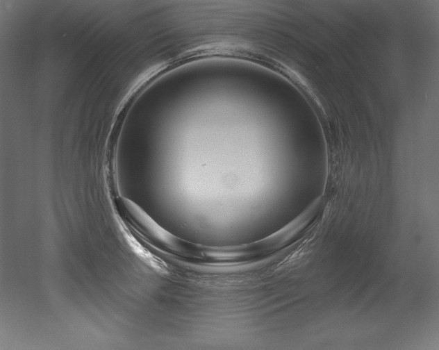X0000053021042200507081321