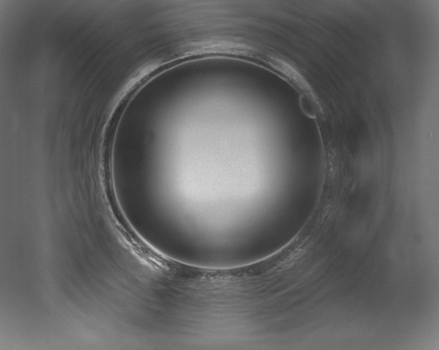 X0000053021043200507081321