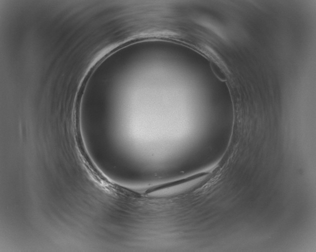 X0000053021044200507081321