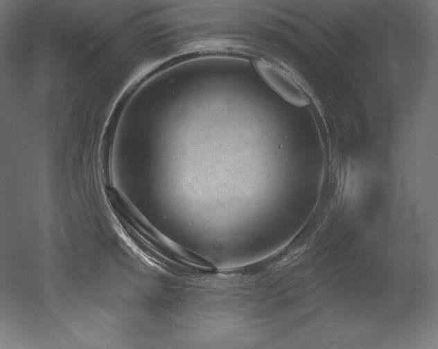X0000053021045200507081321