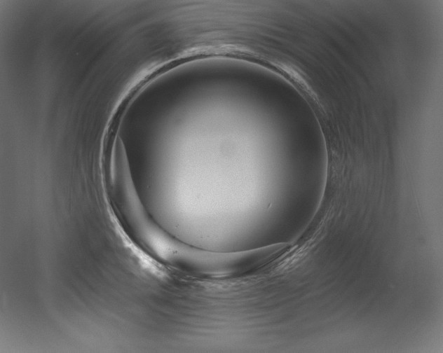 X0000053021046200507081321