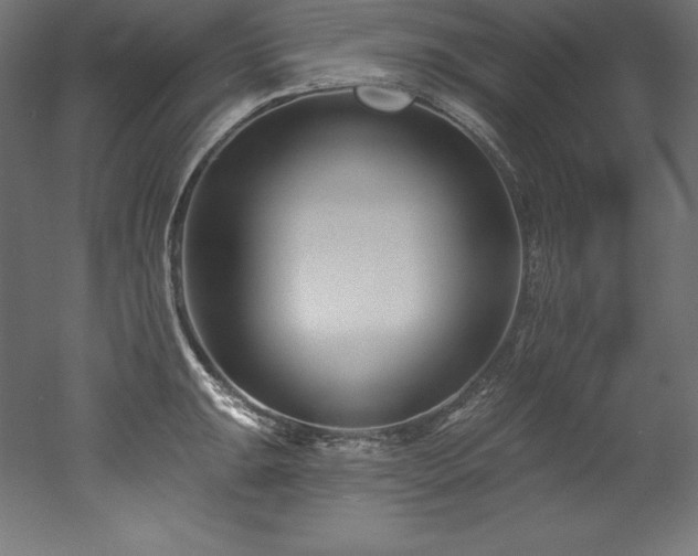 X0000053021047200507081321