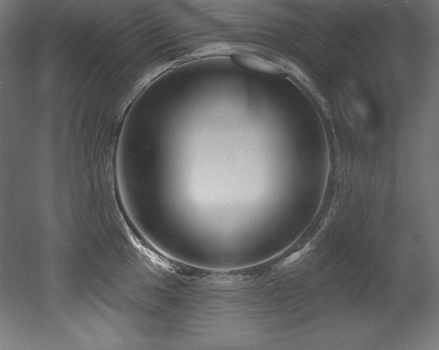 X0000053021049200507081321