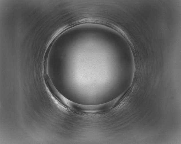 X0000053021050200507081321