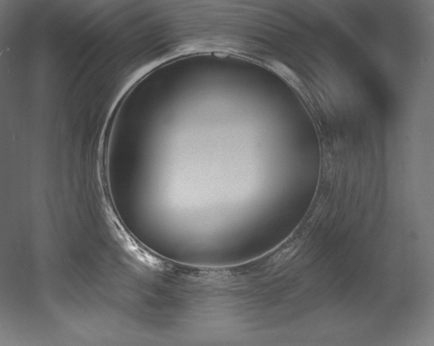 X0000053021052200507081321
