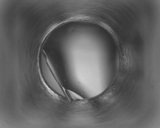 X0000053021055200507081321