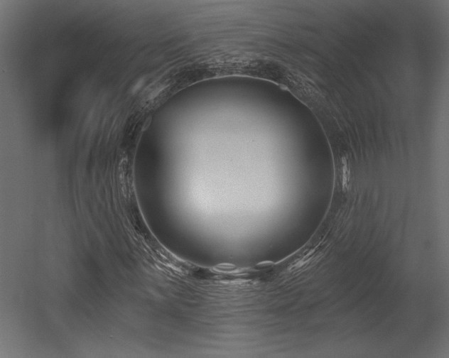 X0000053021059200507081320
