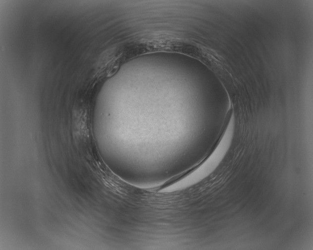 X0000053021060200507081320