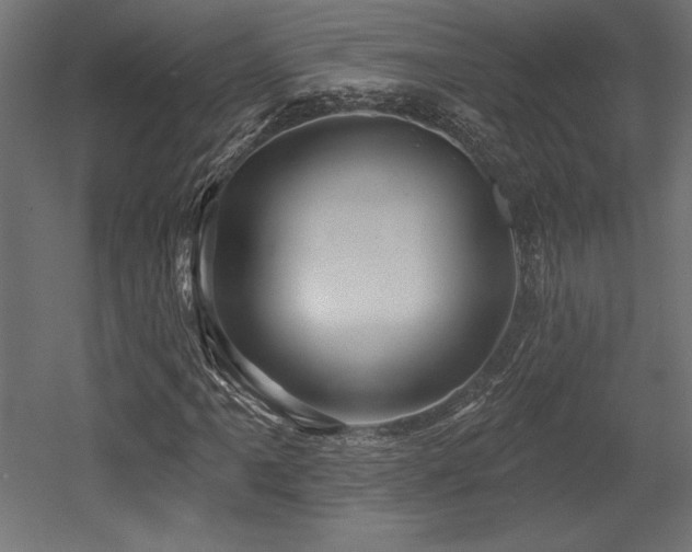 X0000053021061200507081320