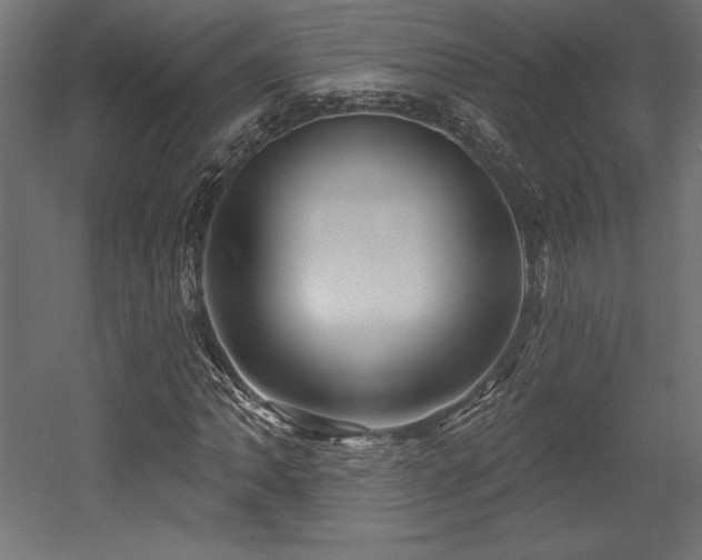 X0000053021062200507081320