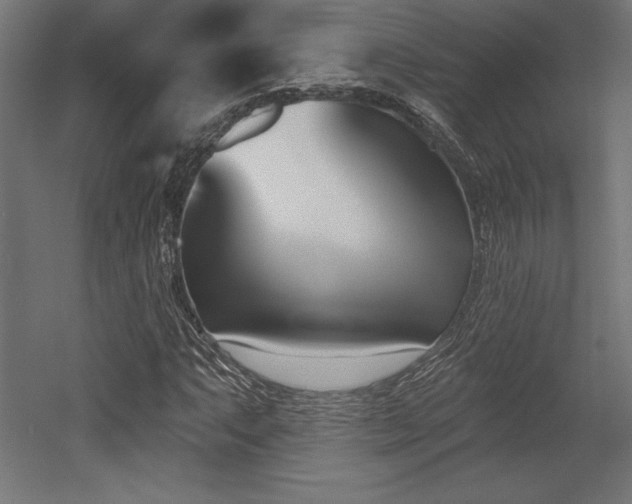 X0000053021063200507081320