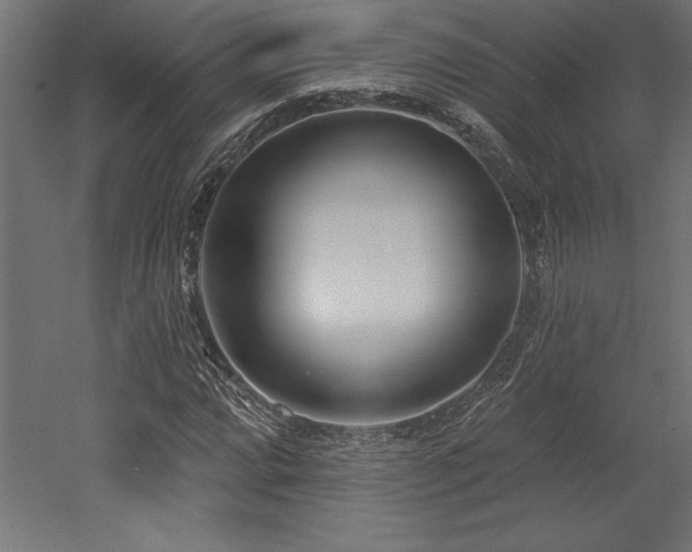 X0000053021064200507081320