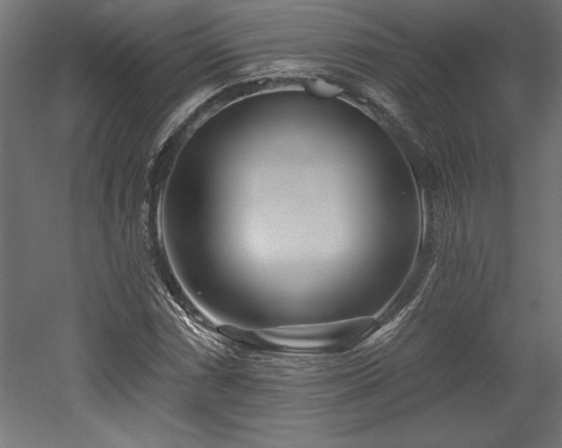 X0000053021066200507081320