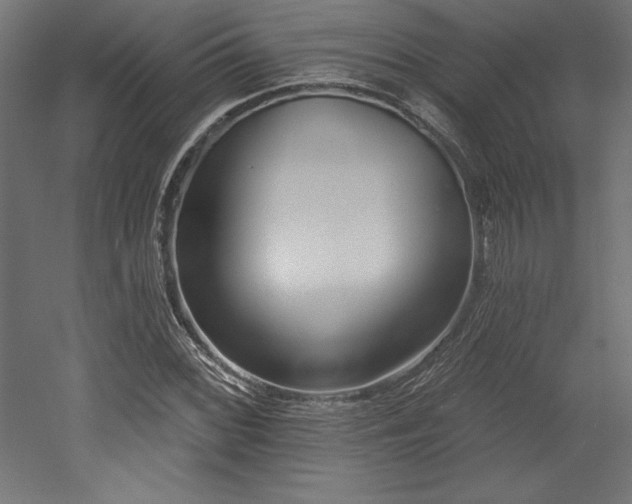 X0000053021068200507081320