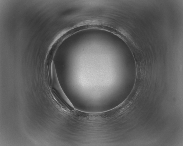 X0000053021070200507081320