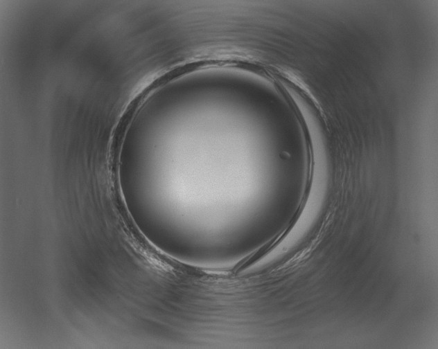 X0000053021071200507081320