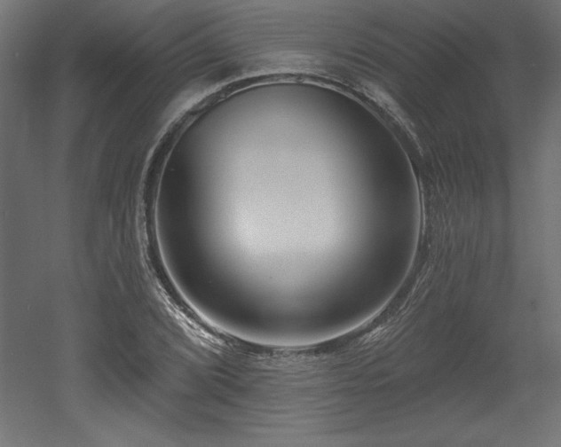 X0000053021072200507081320