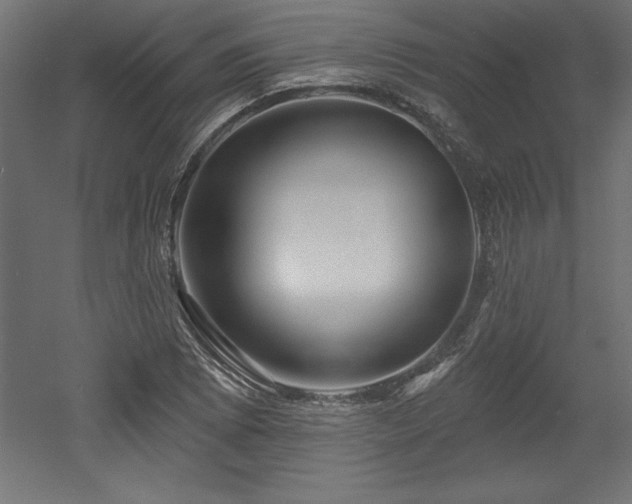X0000053021073200507081320