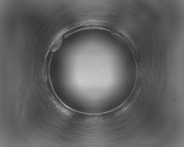 X0000053021075200507081320