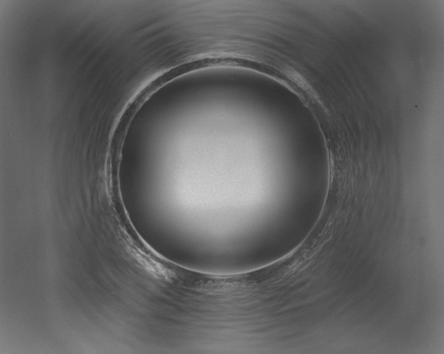 X0000053021076200507081320