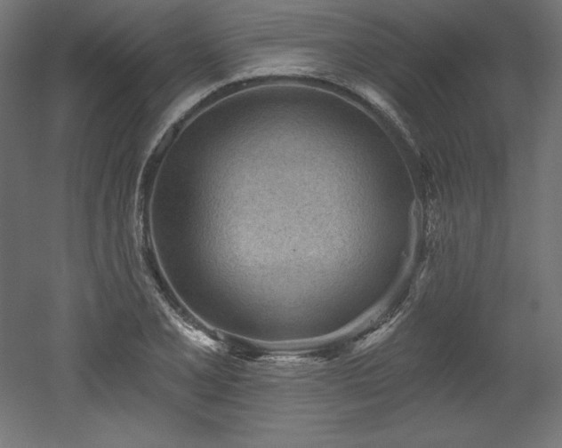 X0000053021077200507081320