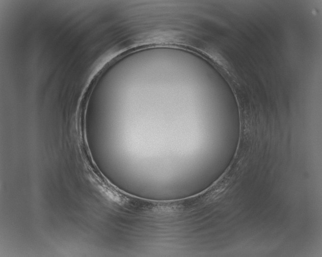 X0000053021078200507081320