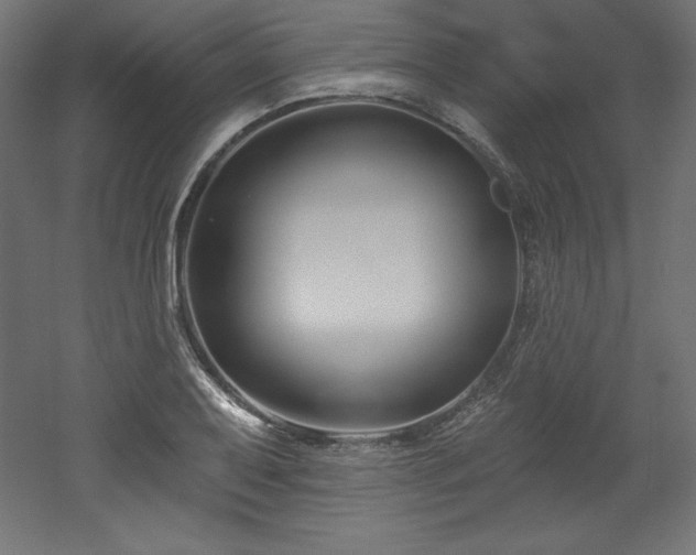 X0000053021079200507081320