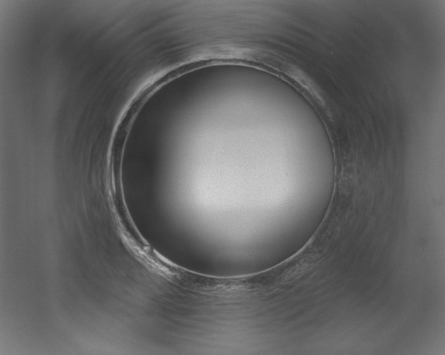 X0000053021080200507081320