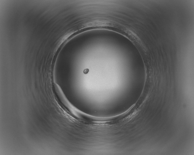 X0000053021081200507081320