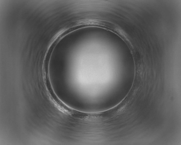 X0000053021082200507081320