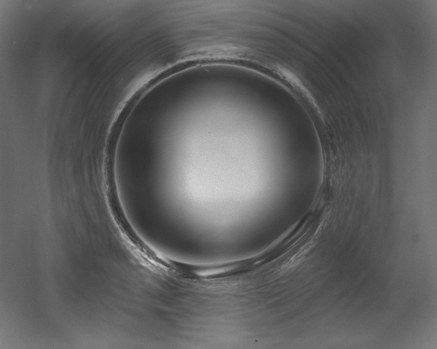 X0000053021085200507081319