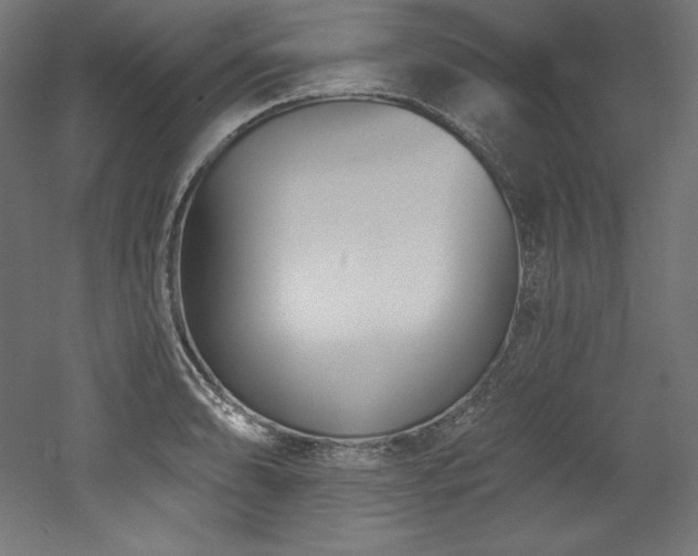 X0000053021086200507081319
