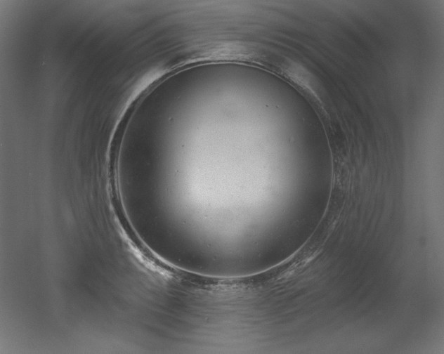 X0000053021087200507081319