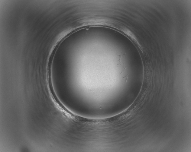 X0000053021088200507081319