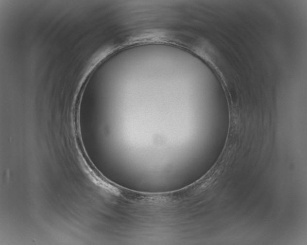 X0000053021090200507081319