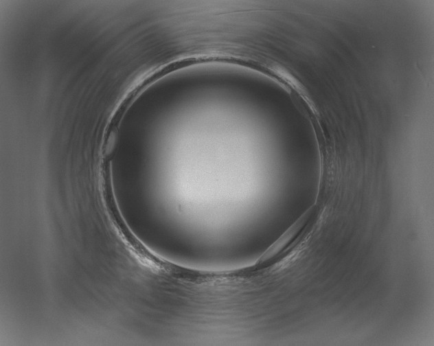 X0000053021093200507081319