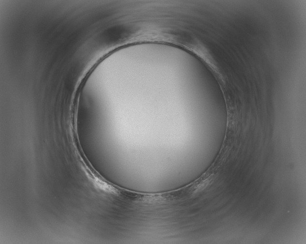 X0000053021094200507081319