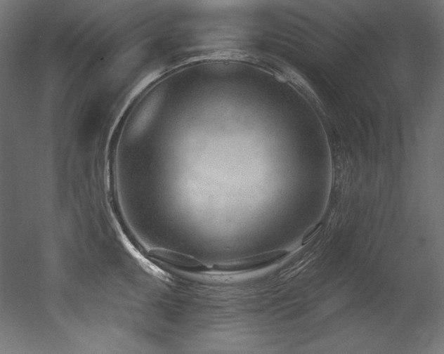 X0000053021095200507081319
